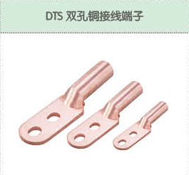 DTS雙孔銅接線端子.png